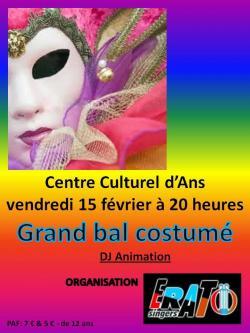 Affiche bal de carnaval 15-2-2013